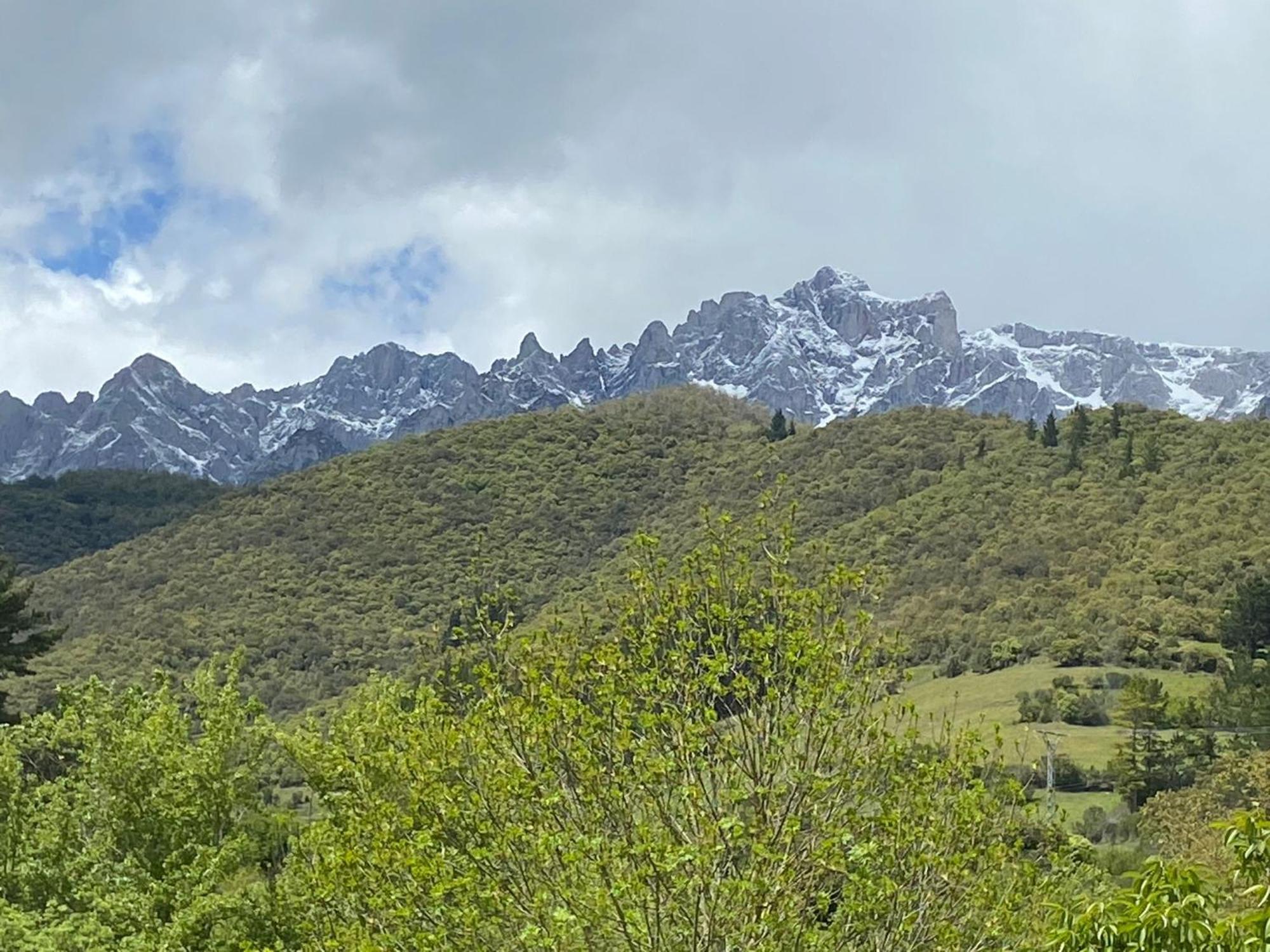 Picos De Europa Suites And Rooms Turieno Exterior foto