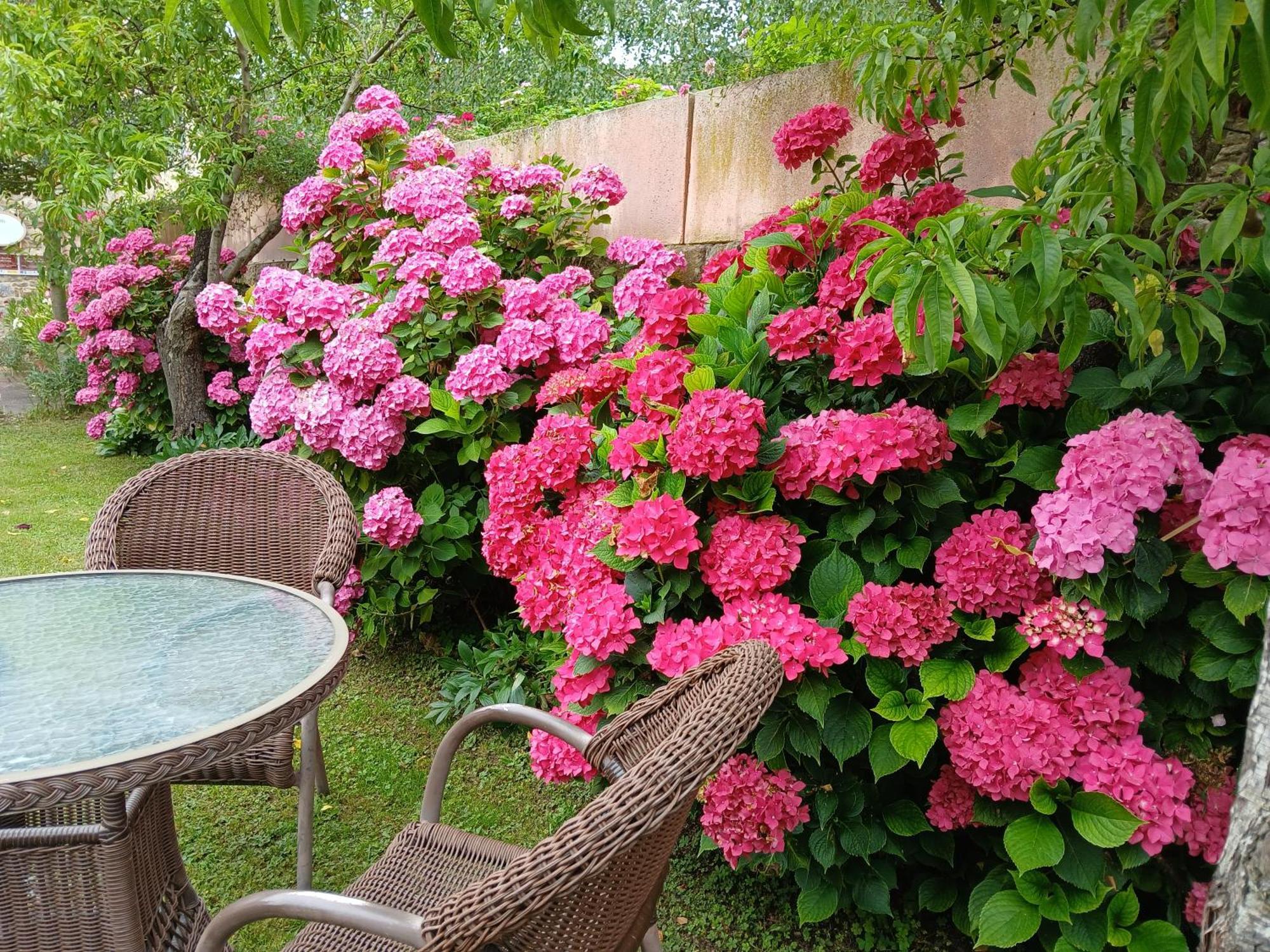 Picos De Europa Suites And Rooms Turieno Exterior foto