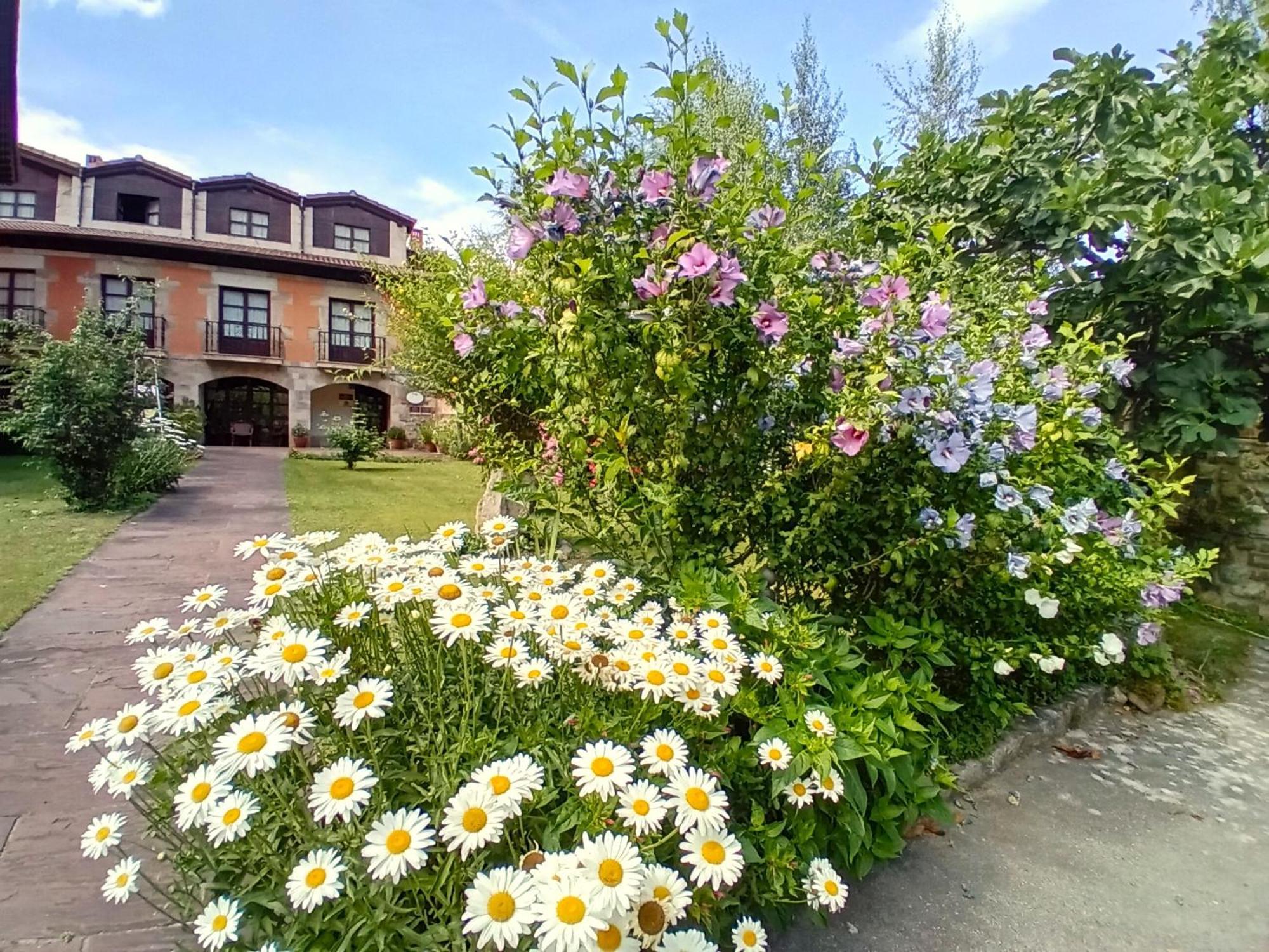 Picos De Europa Suites And Rooms Turieno Exterior foto